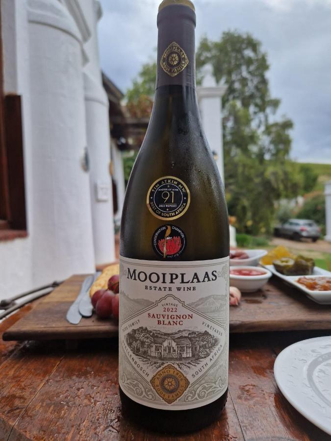 Mooiplaas Wine Estate Apartment Стеленбош Екстериор снимка
