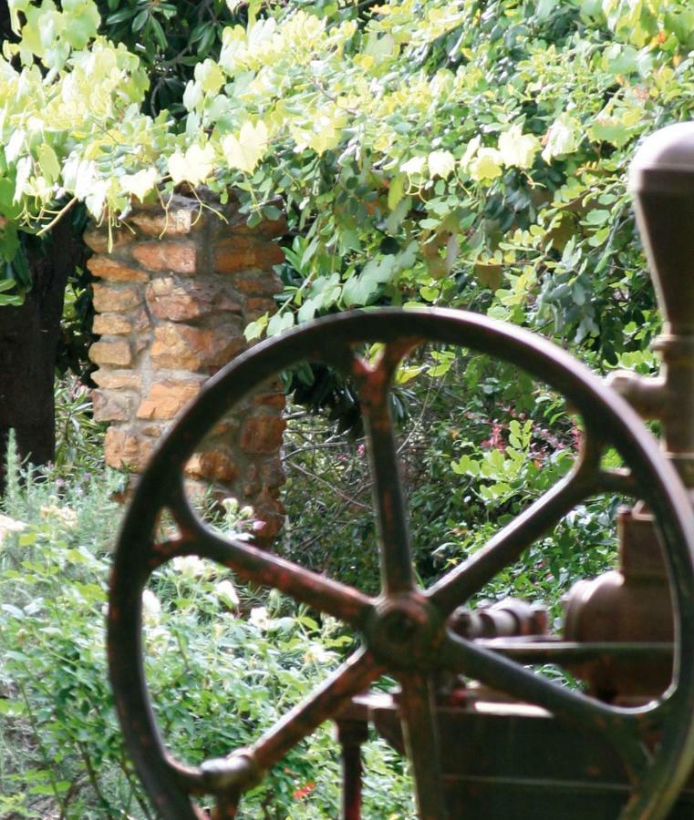 Mooiplaas Wine Estate Apartment Стеленбош Екстериор снимка