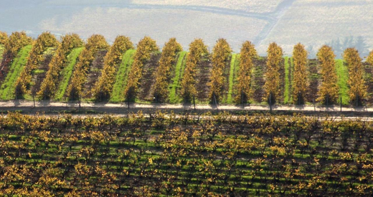 Mooiplaas Wine Estate Apartment Стеленбош Екстериор снимка