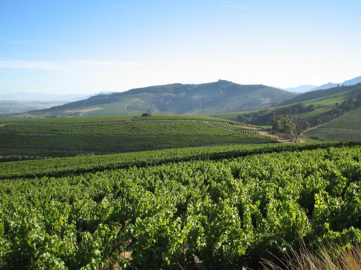Mooiplaas Wine Estate Apartment Стеленбош Екстериор снимка