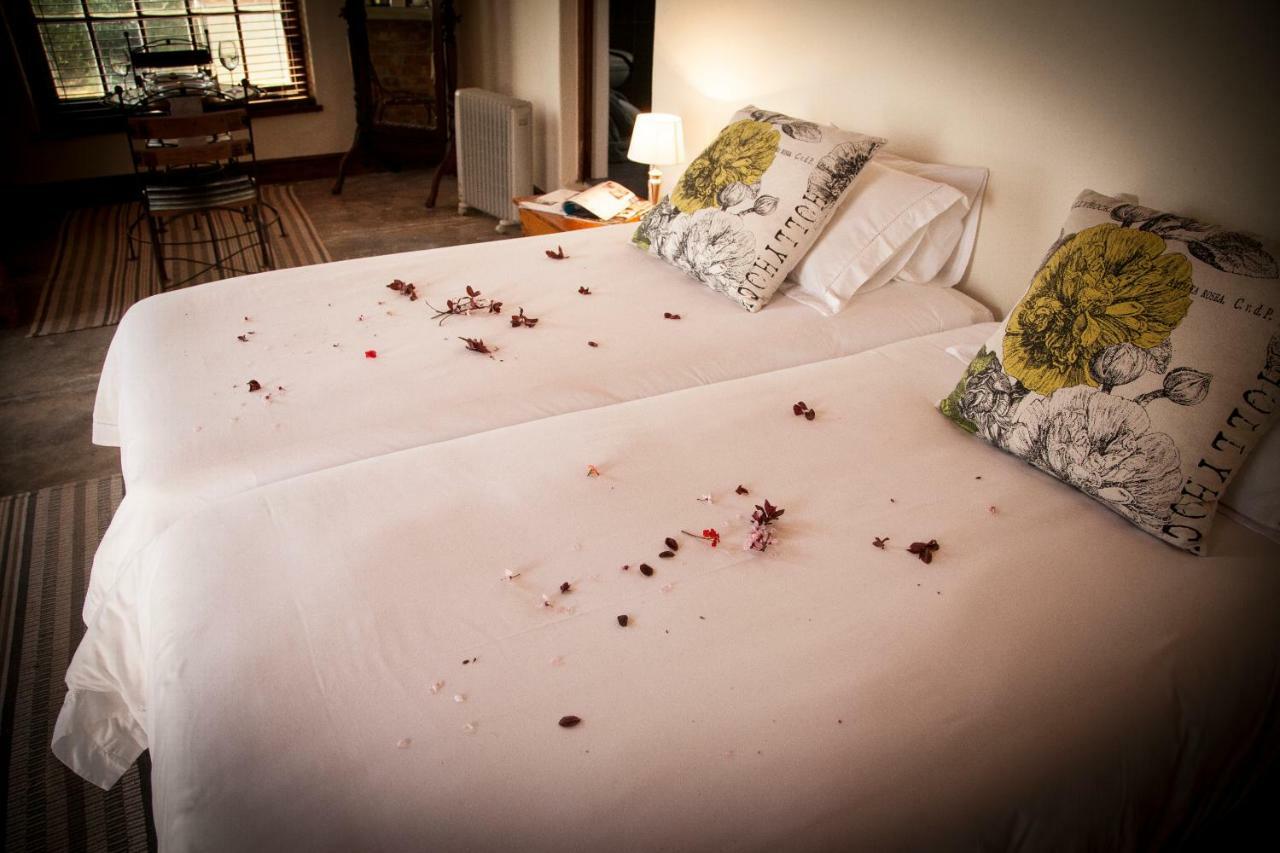 Mooiplaas Wine Estate Apartment Стеленбош Екстериор снимка